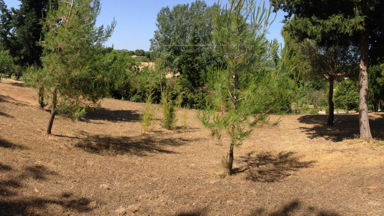 Photo of Outdoor in Kassandra