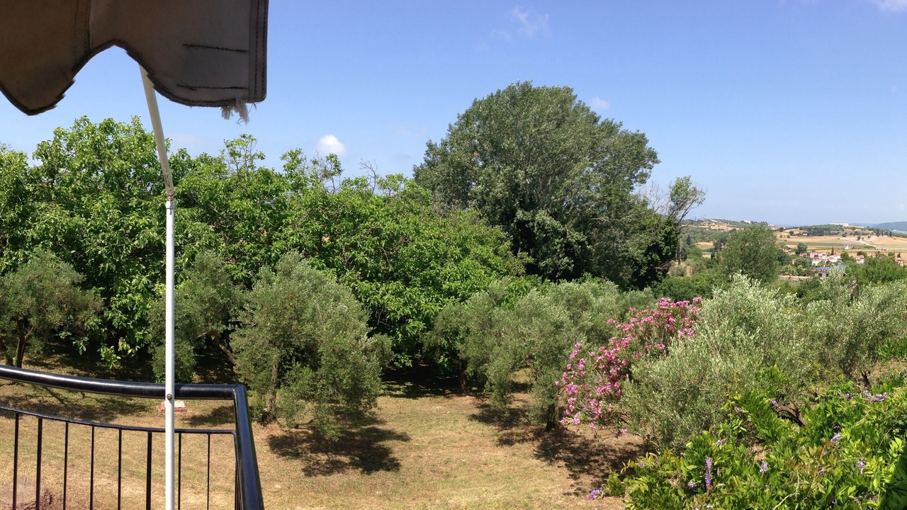 Photo of Outdoor in Kassandra