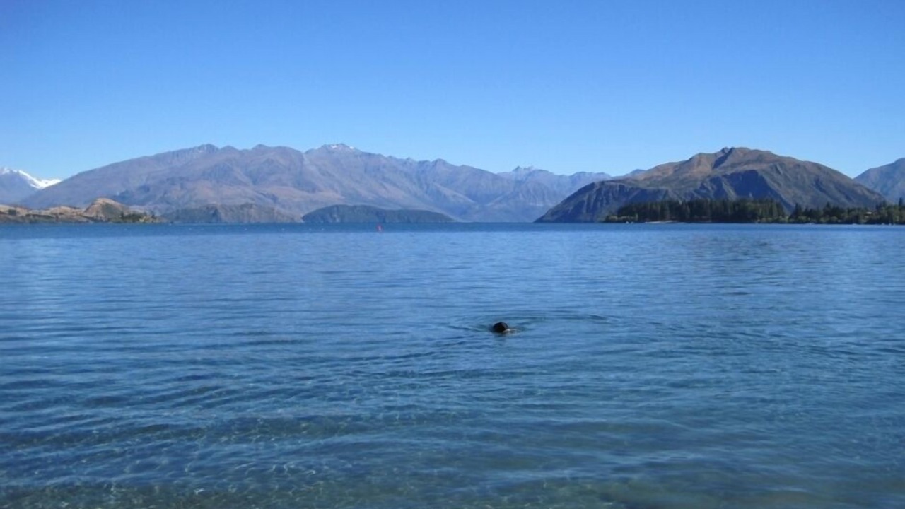 Photo of Outdoor in Cardrona