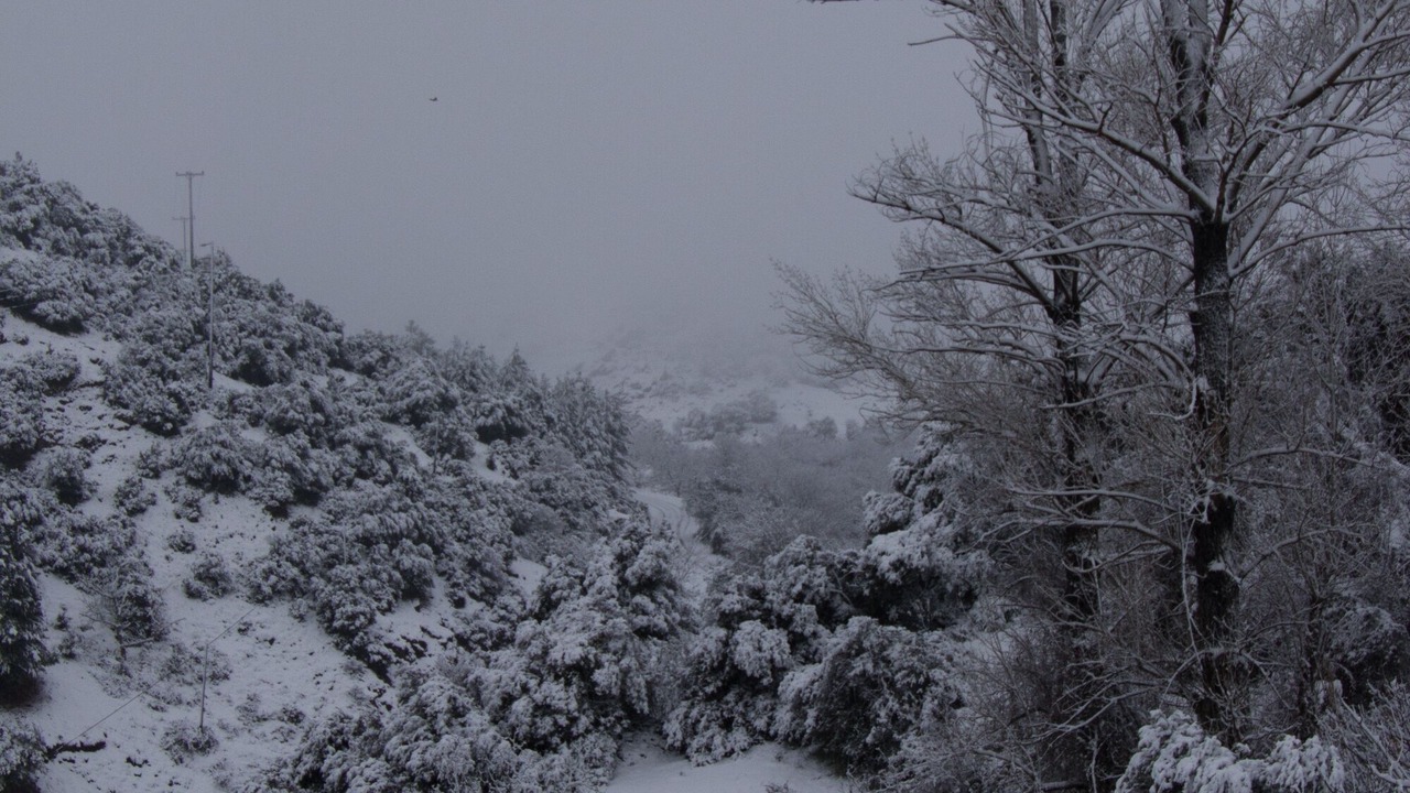 Photo of Outdoor in Vastas