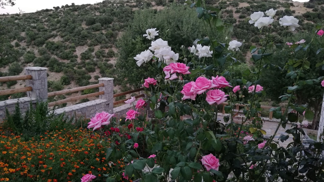 Photo of Outdoor in Vastas