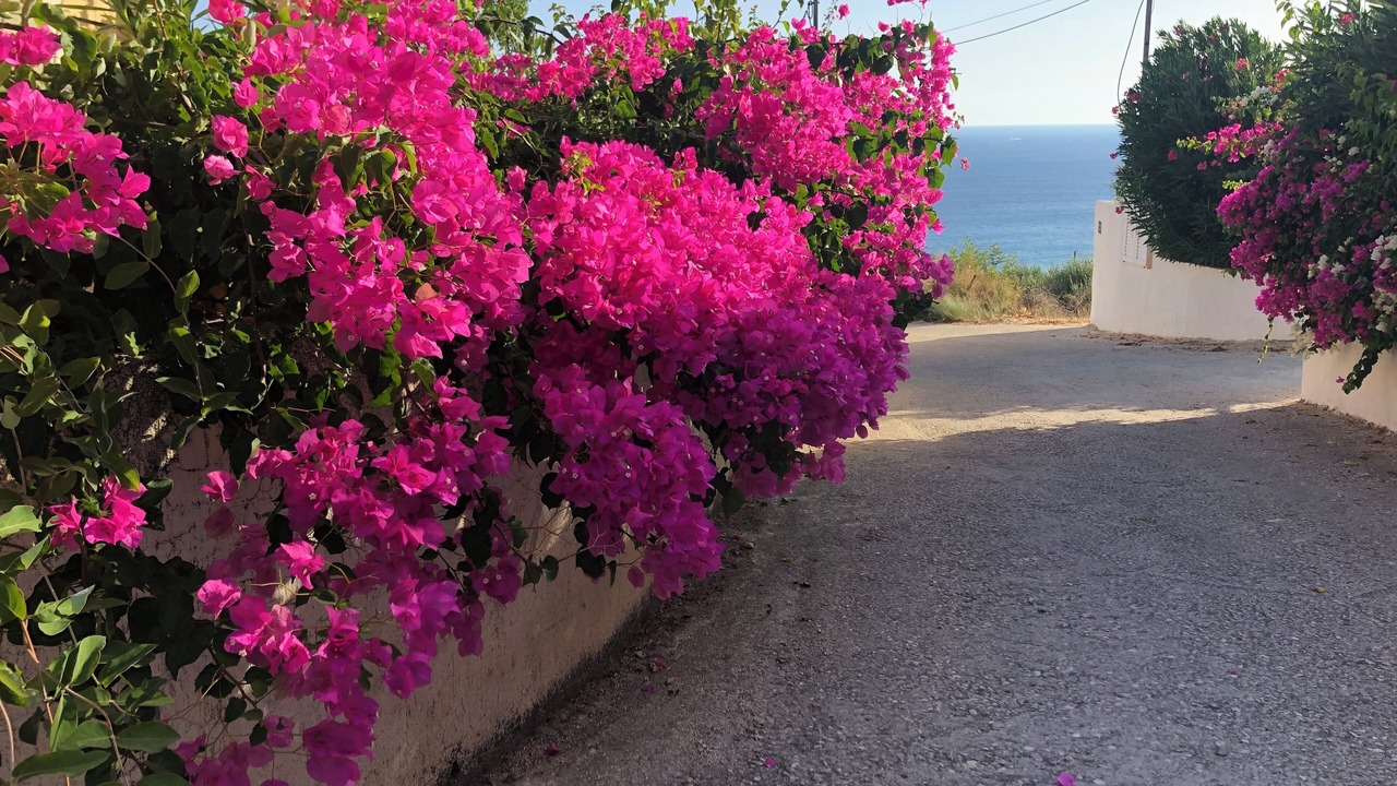 Photo of Outdoor in Mousata