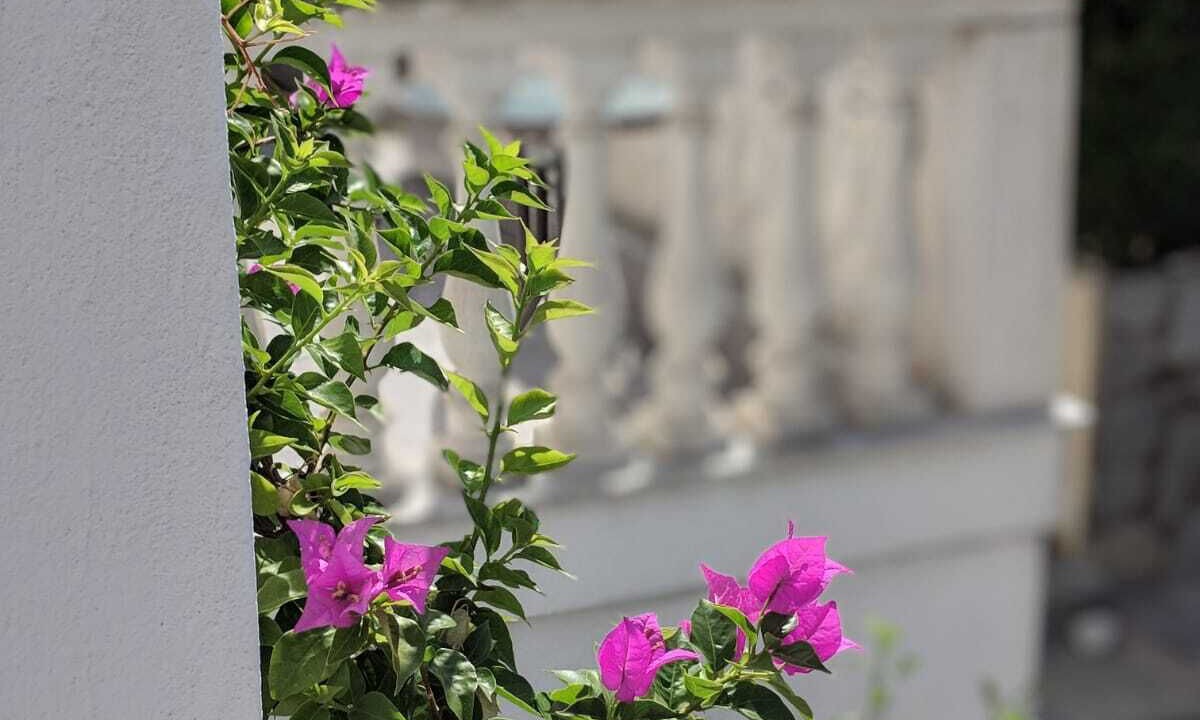 Photo of Outdoor in Palaio Tsifliki