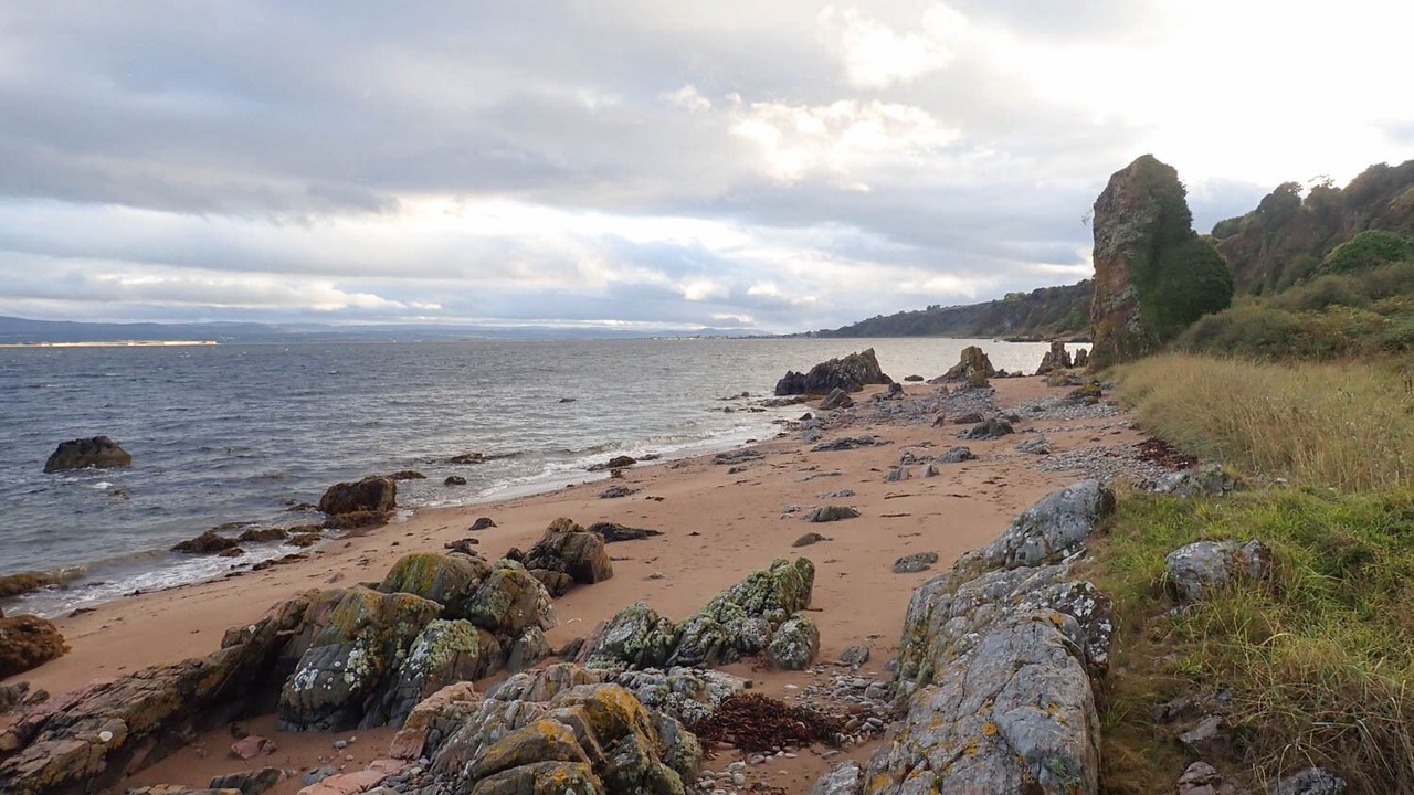 Photo of Others in Fortrose