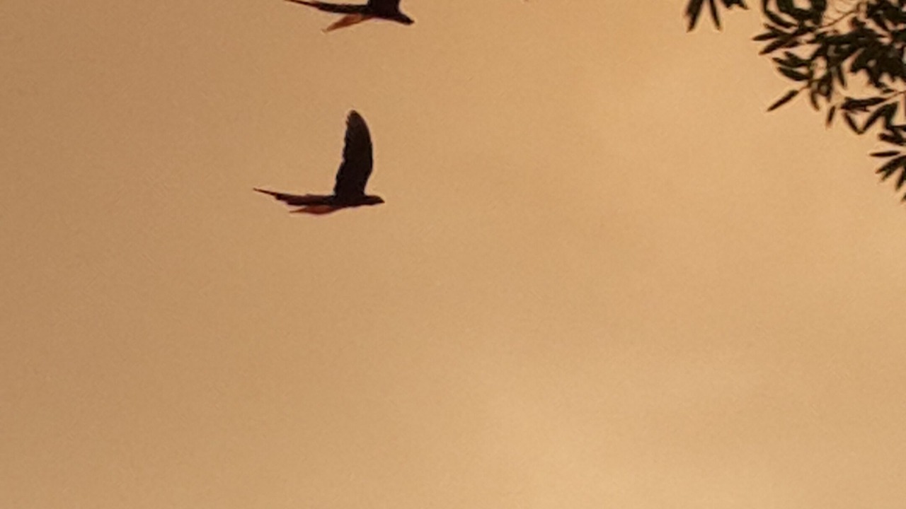 Photo of Others in Marina Vista