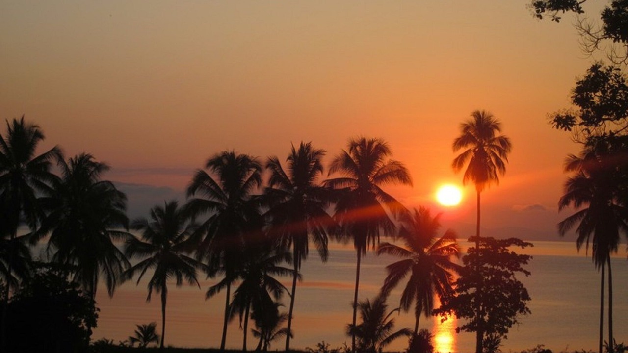 Photo of Outdoor in Rincon