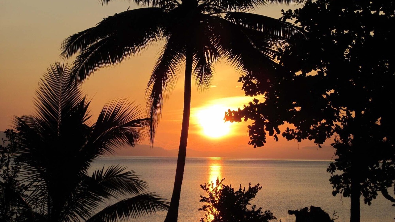 Photo of Outdoor in Rincon