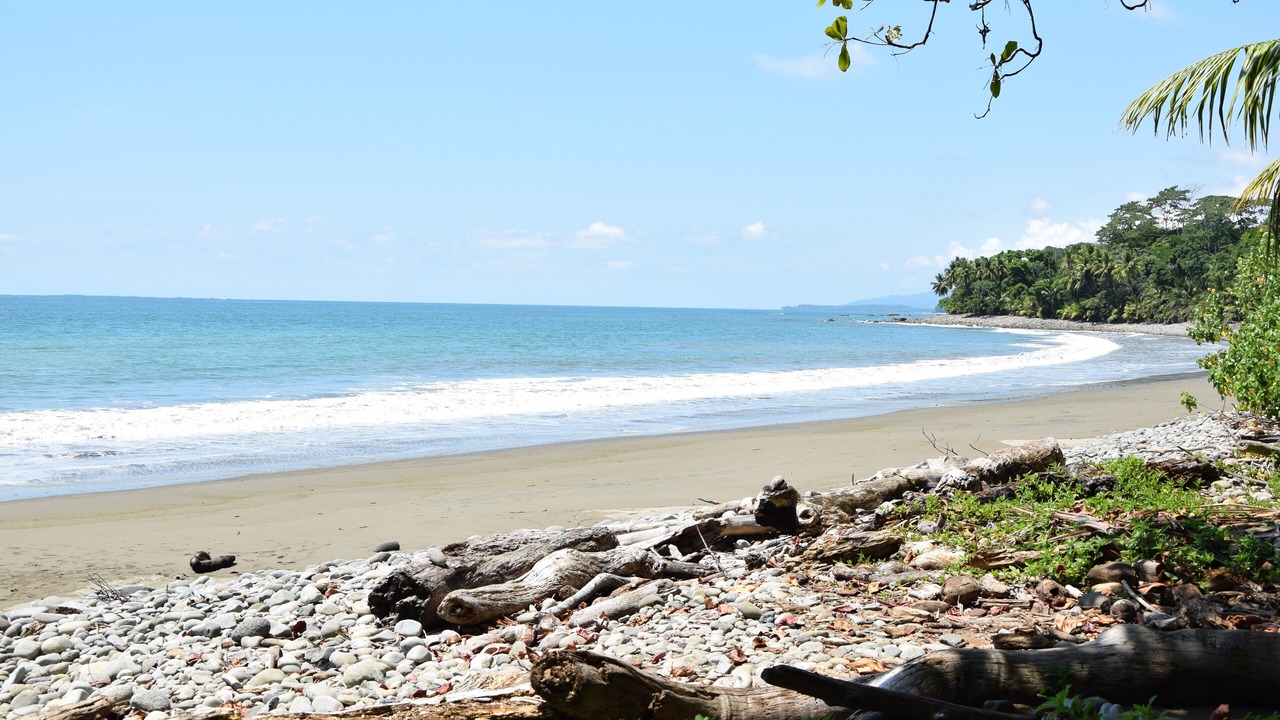 Photo of Others in Rincon