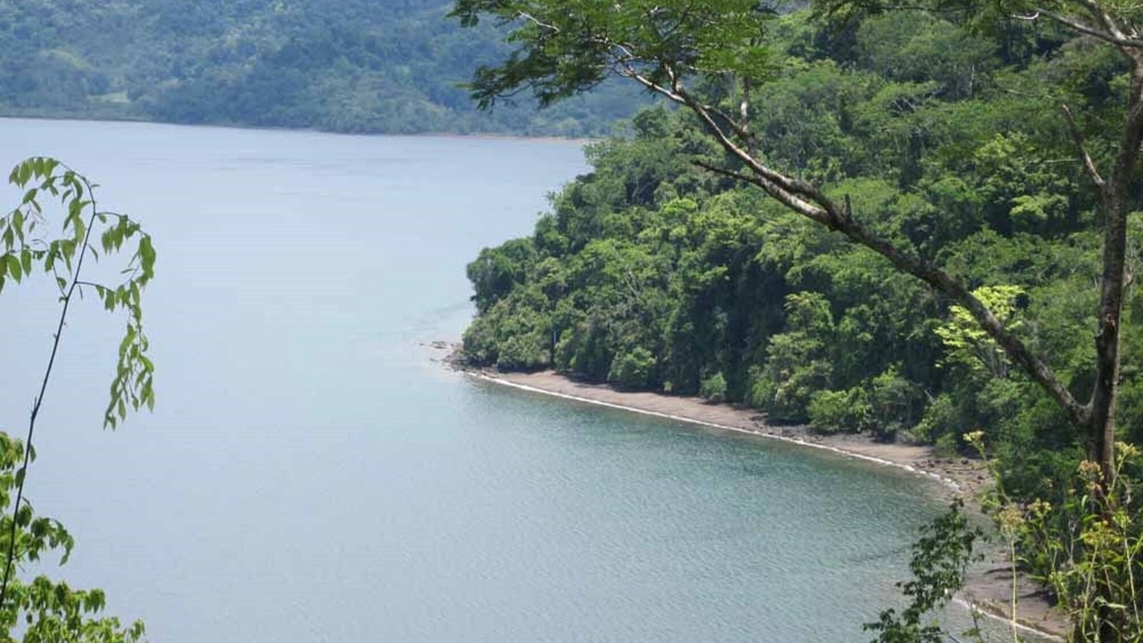 Photo of Others in Rincon