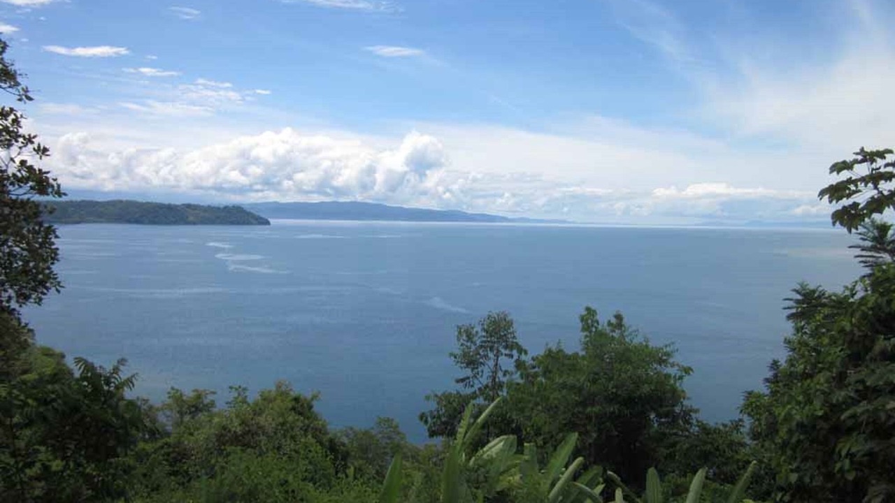 Photo of Others in Rincon