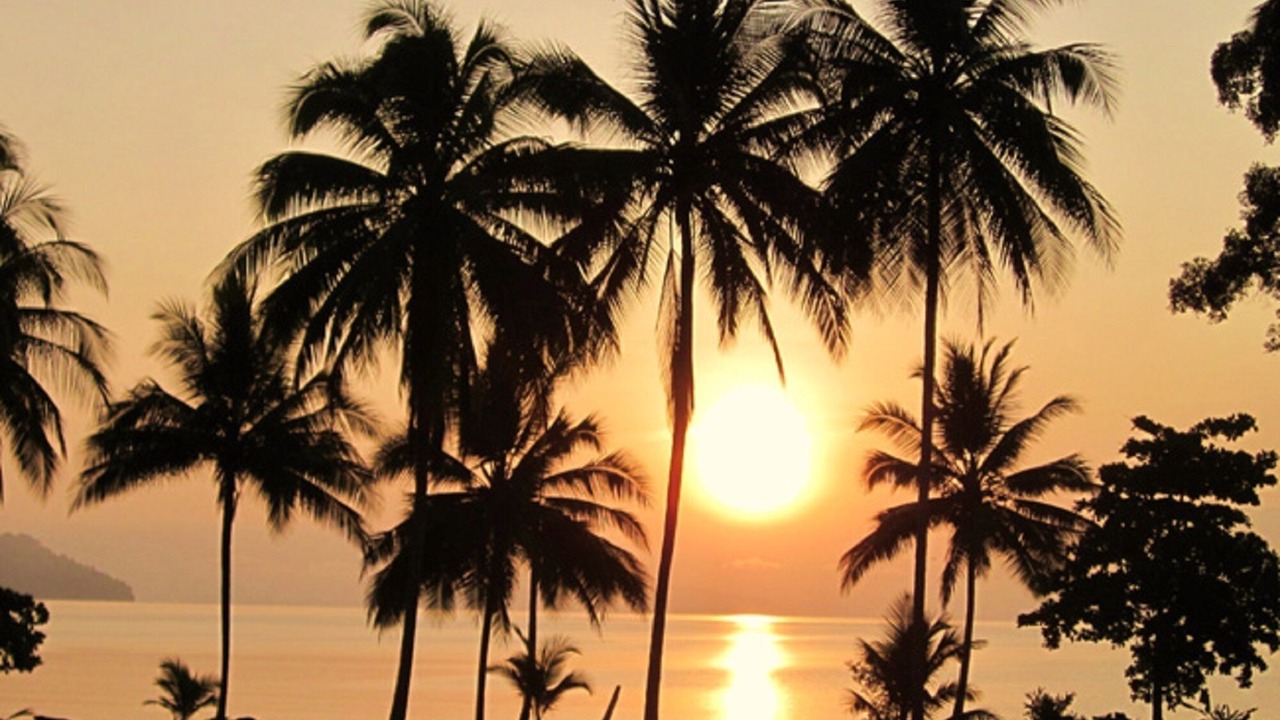 Photo of Outdoor in Rincon