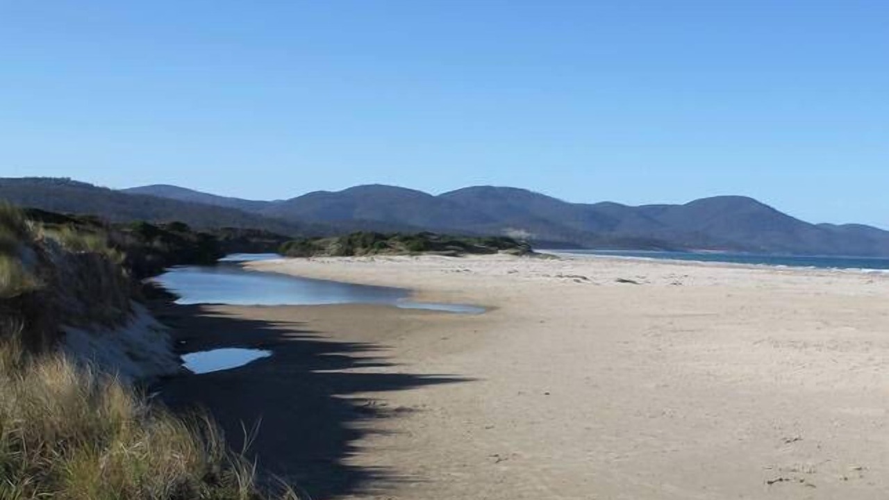 Photo of Others in Bream Creek