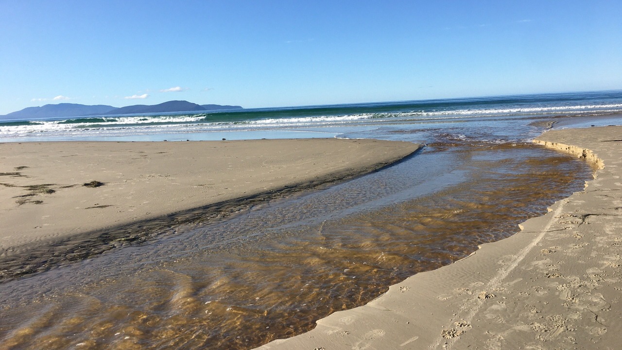 Photo of Others in Bream Creek