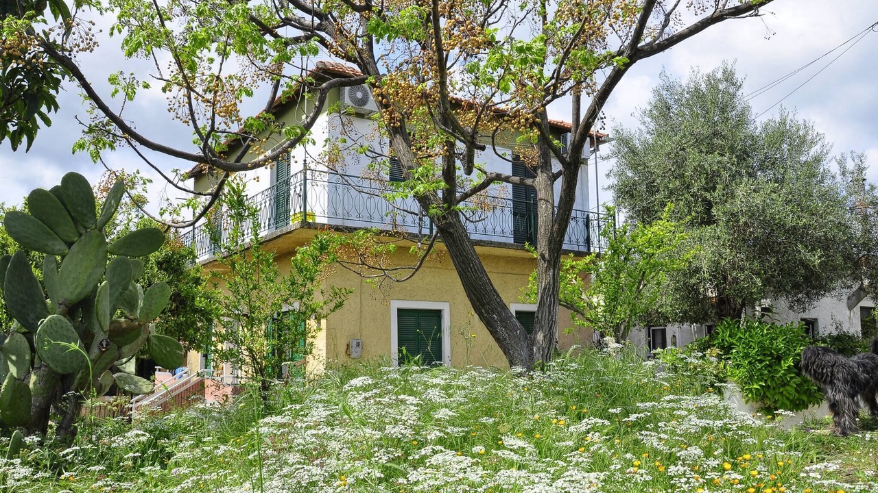 Photo of Others in Karousades