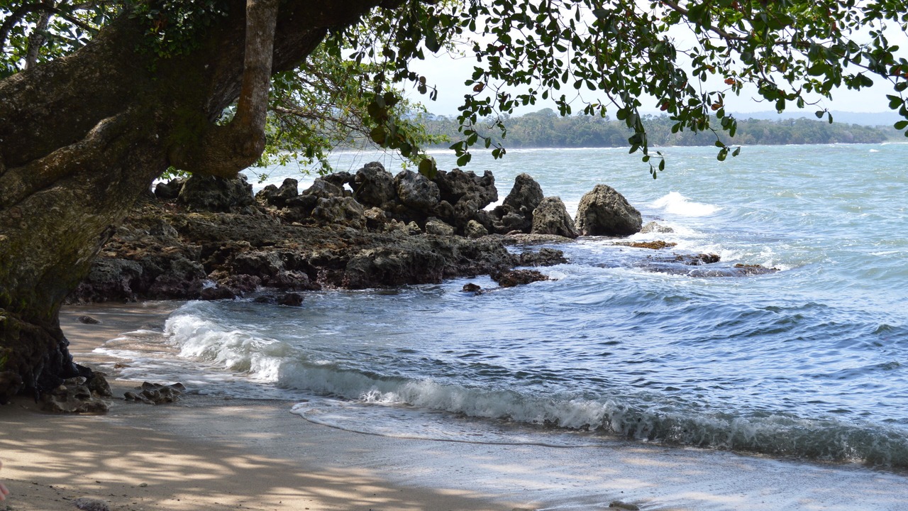 Photo of Others in Cahuita