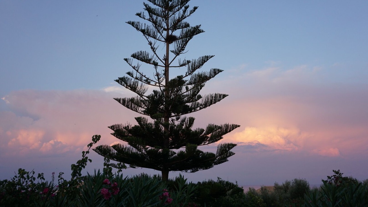 Photo of Outdoor in Pylos-Nestoras