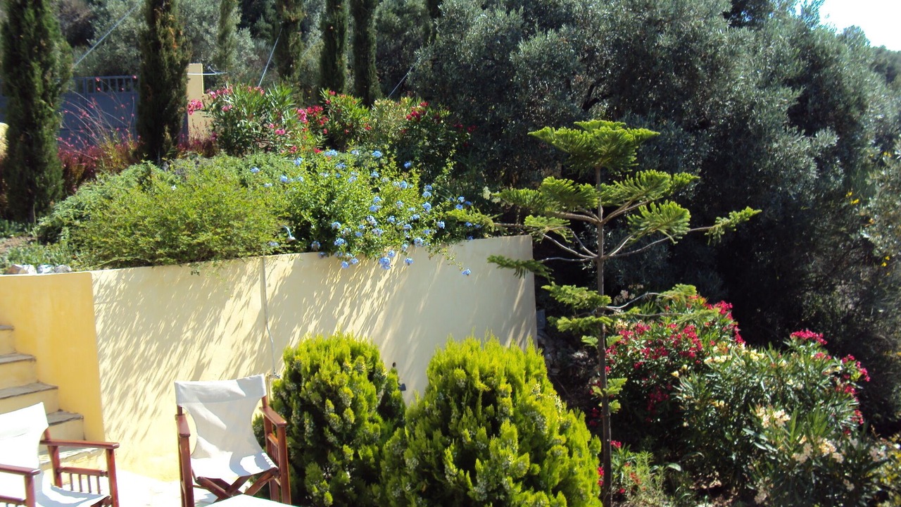 Photo of Outdoor in Skiathos Town