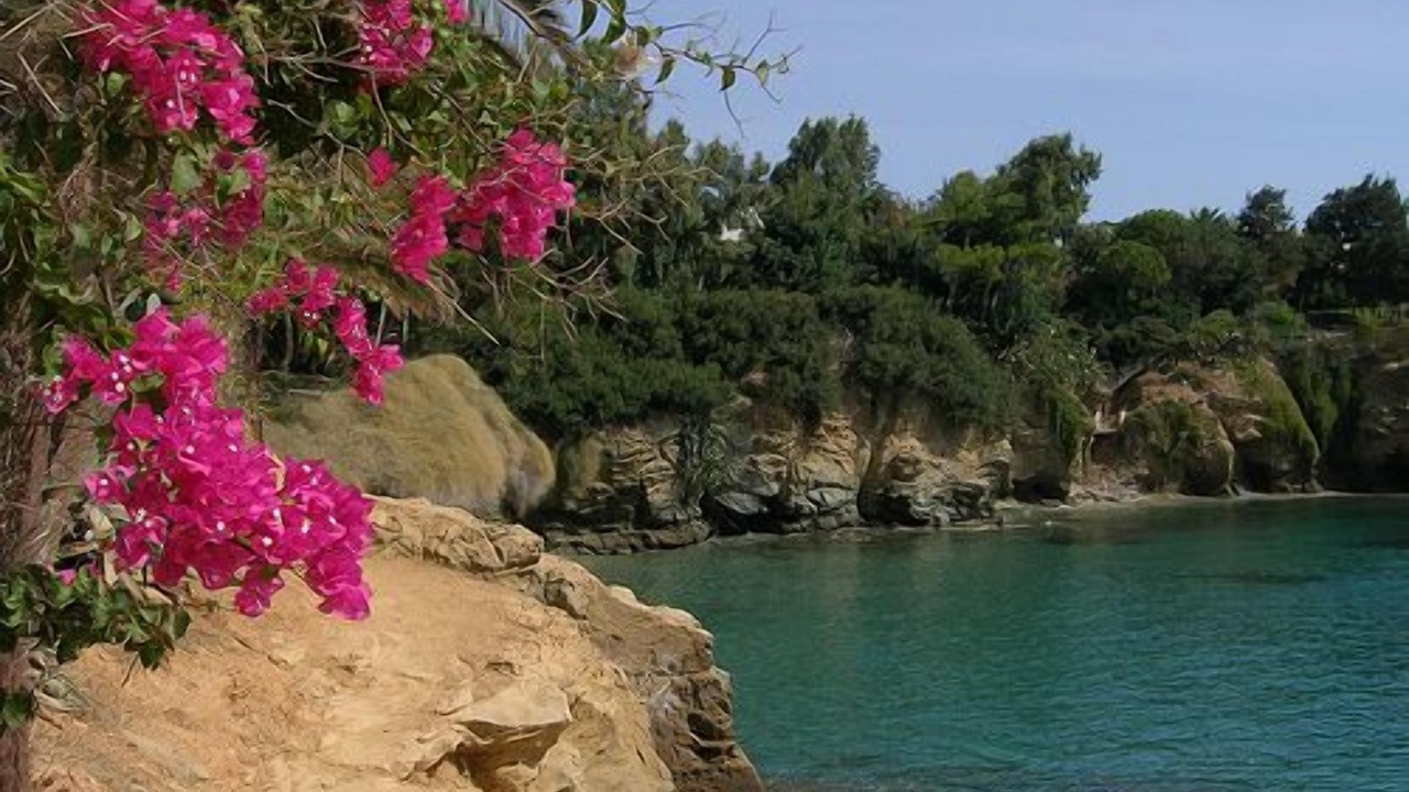 Photo of Others in Agia Pelagia