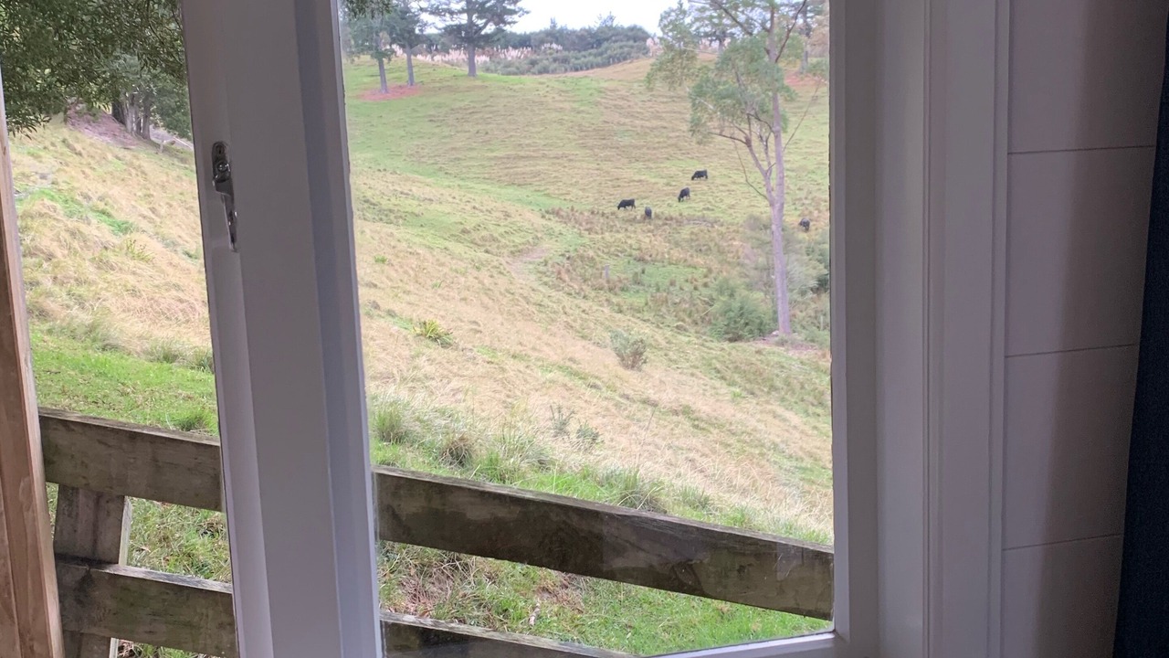 Photo of Others in Whangarei