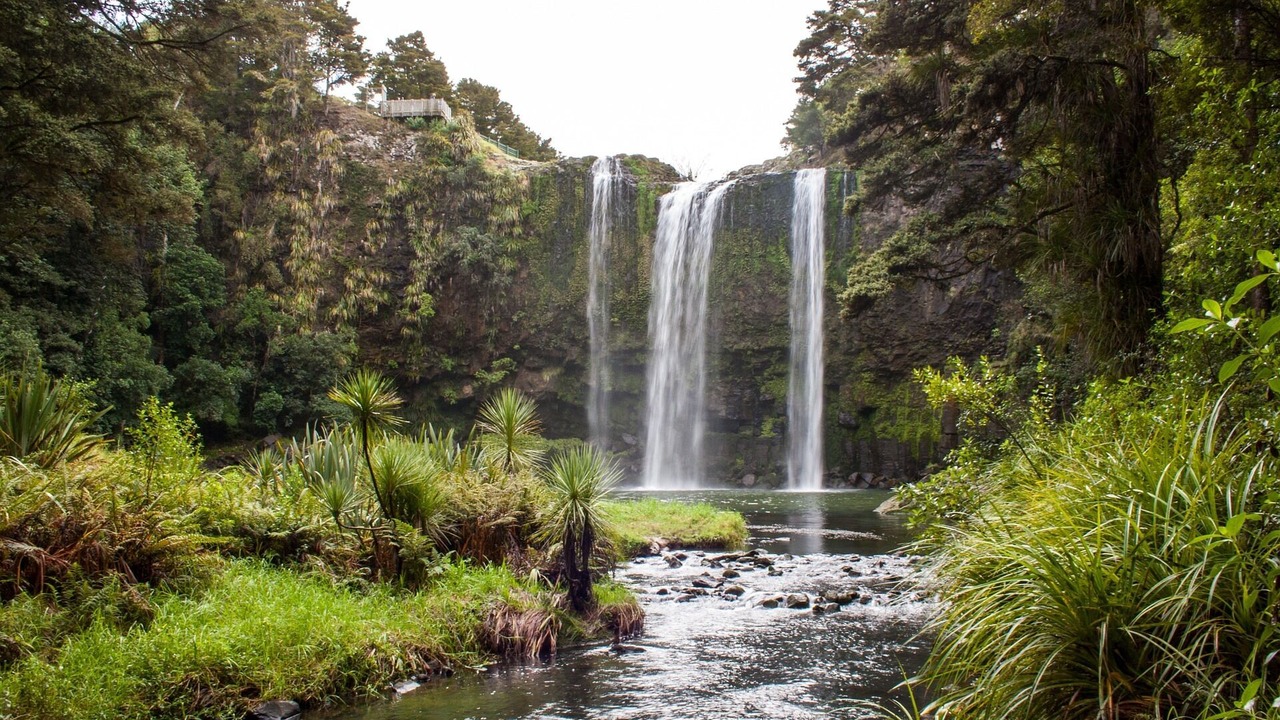 Photo of Others in Whangarei
