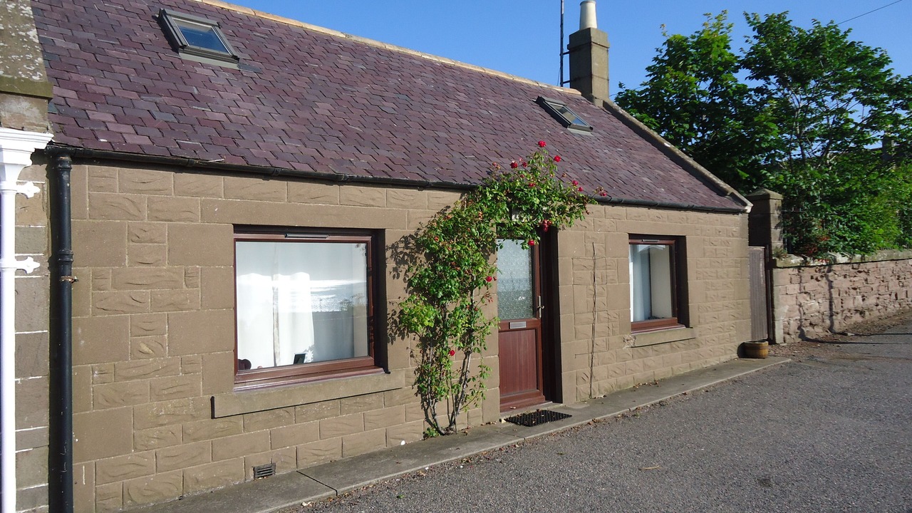 Photo of Others in Johnshaven