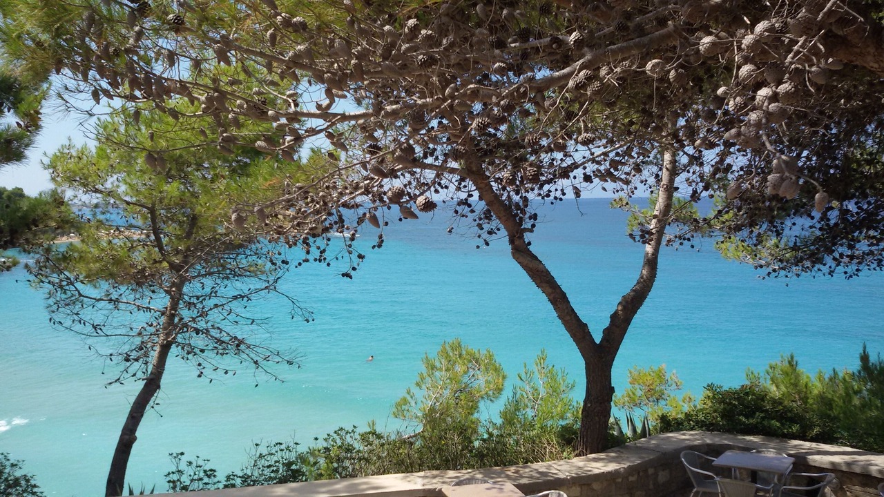 Photo of Others in Argostoli Town