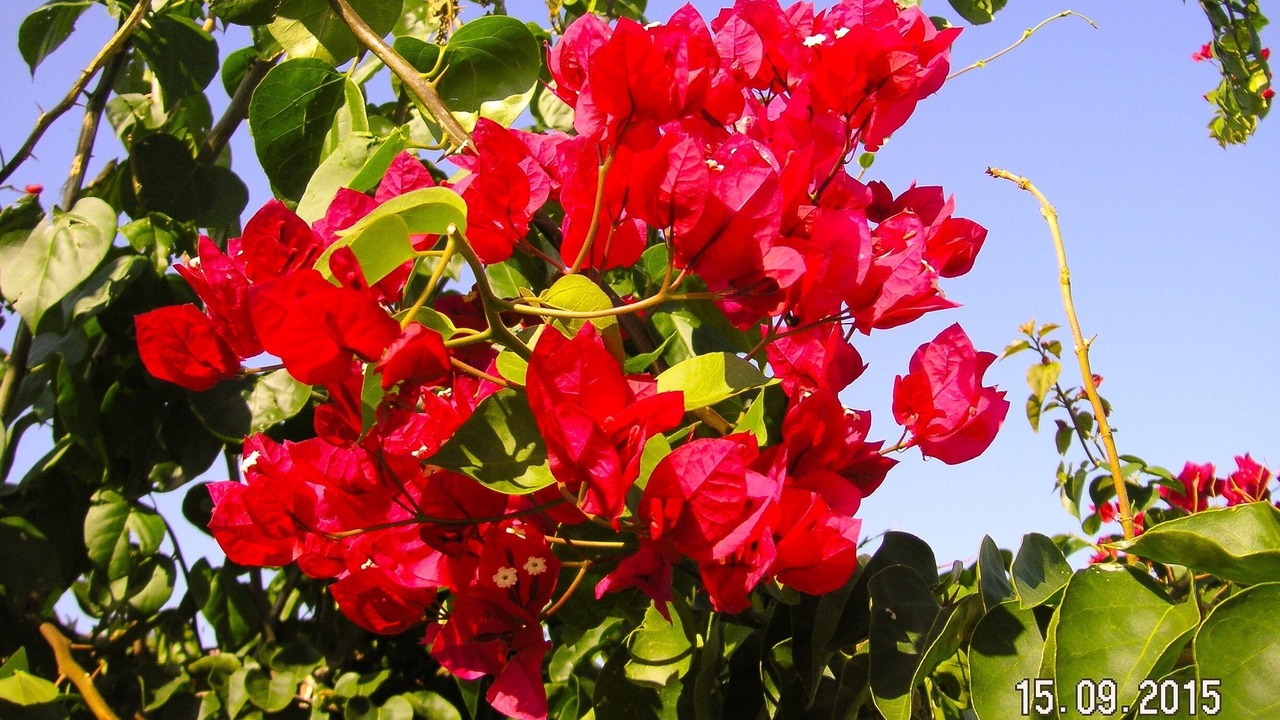 Photo of Outdoor in Lakithra