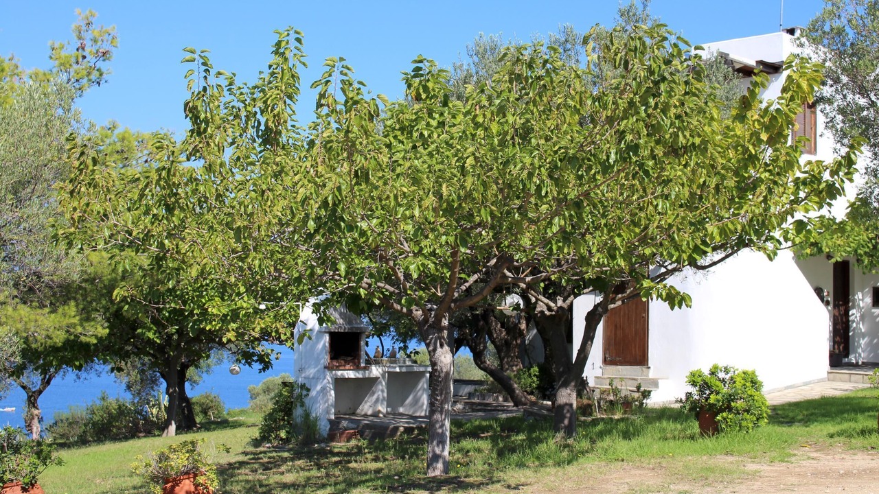 Photo of Outdoor in Sithonia