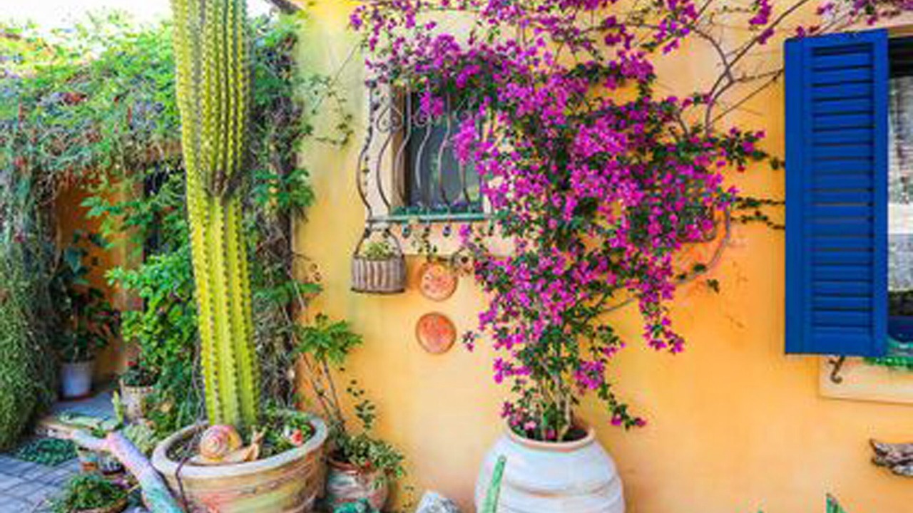 Photo of Outdoor in Achladies