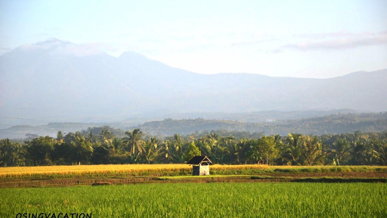 Photo of Others in Banyuwangi