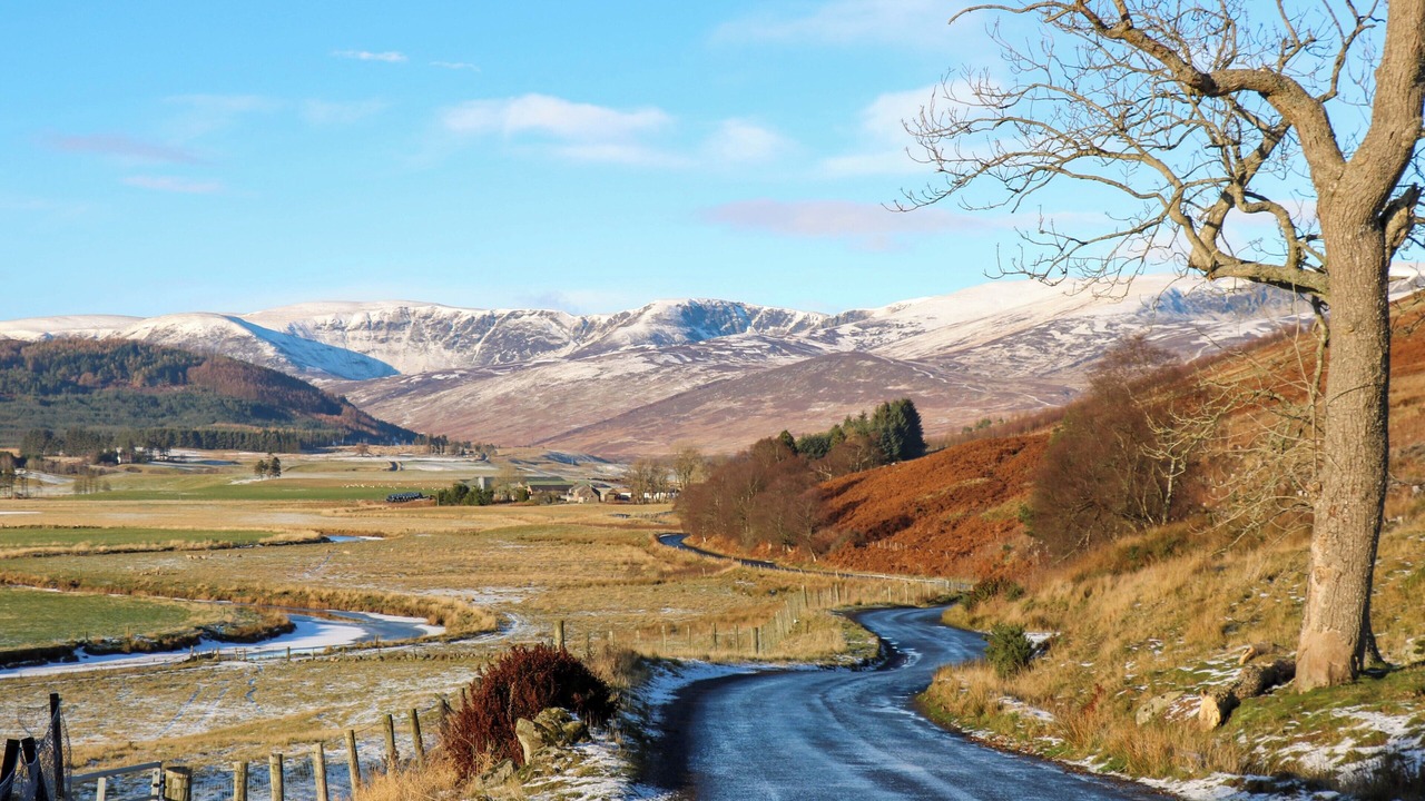 Photo of Others in Kirriemuir