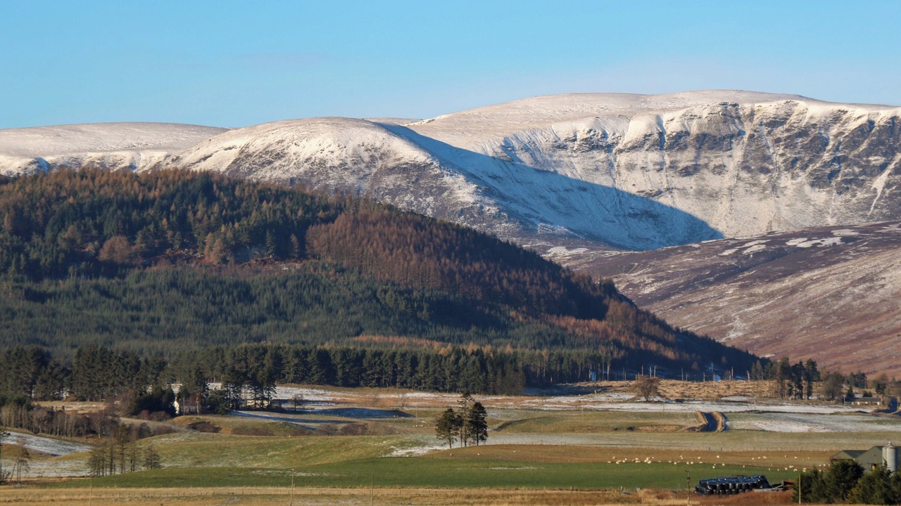 Photo of Others in Kirriemuir