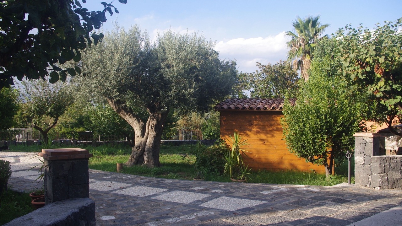 Photo of Outdoor in Viagrande