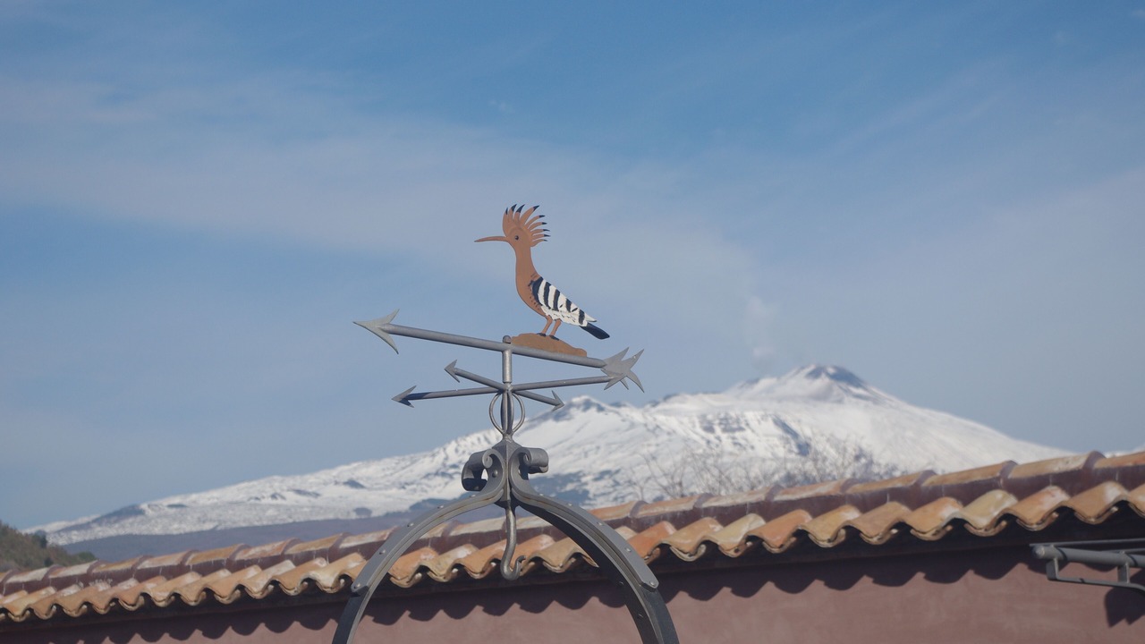 Photo of Outdoor in Viagrande