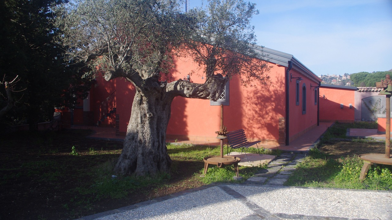 Photo of Outdoor in Viagrande