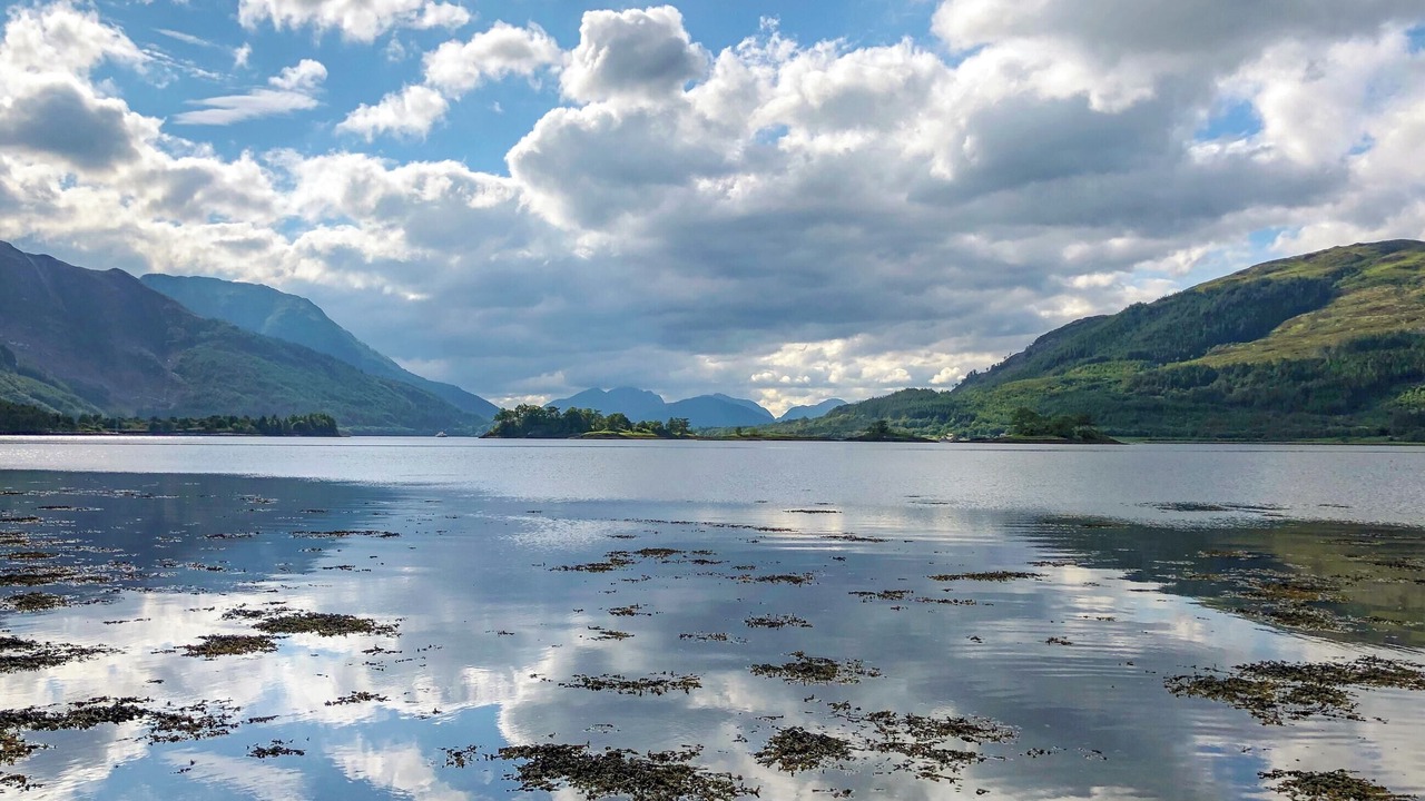 Photo of Others in Glencoe