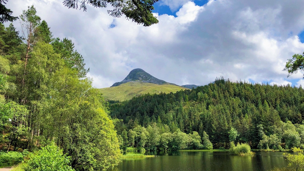 Photo of Others in Glencoe