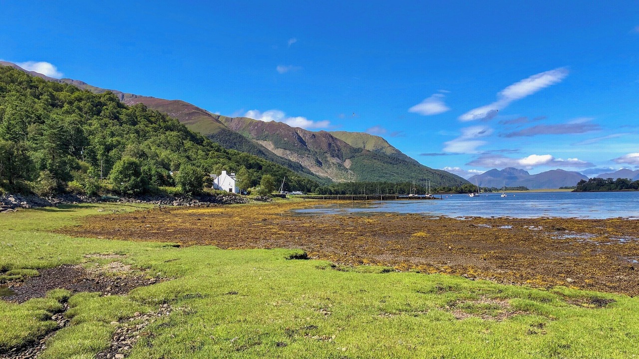 Photo of Others in Glencoe