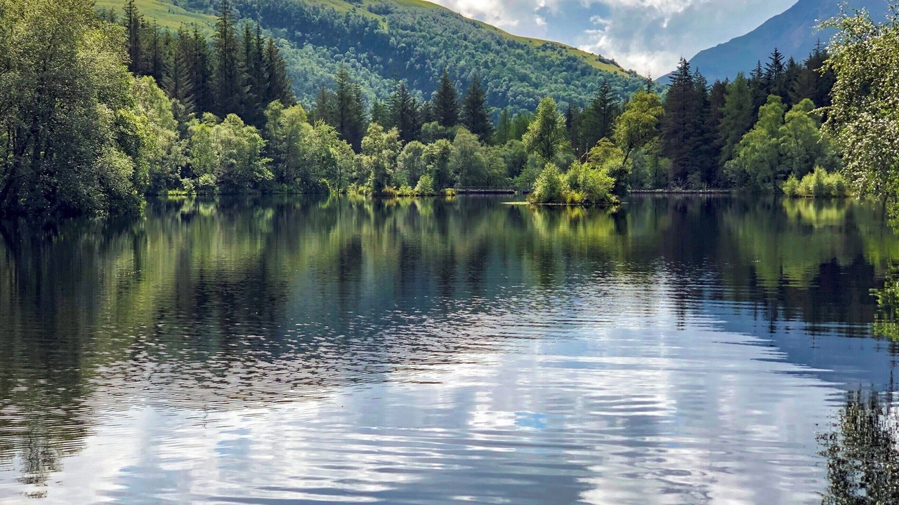 Photo of Others in Glencoe