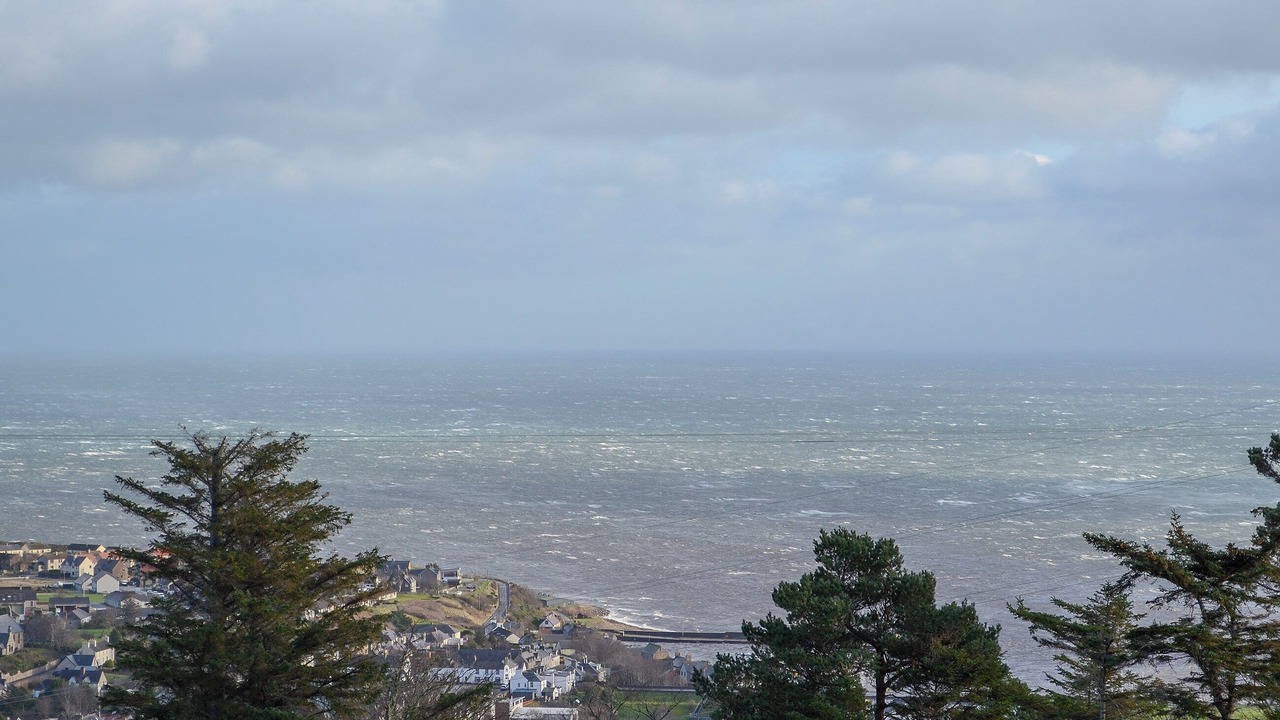Photo of Others in Helmsdale