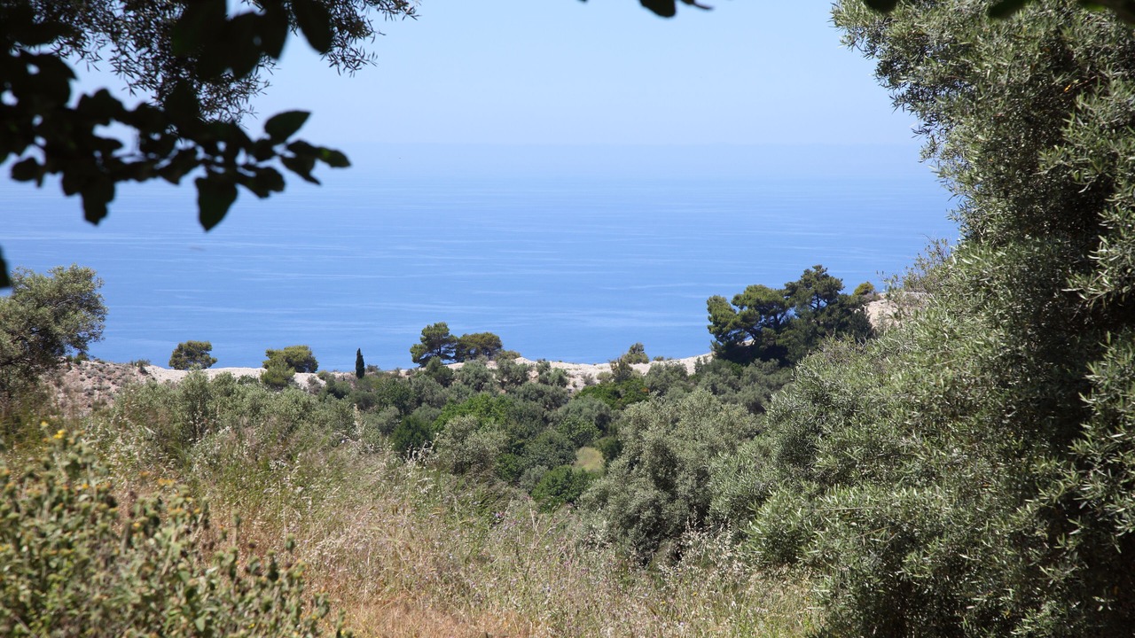 Photo of Others in Lefkas