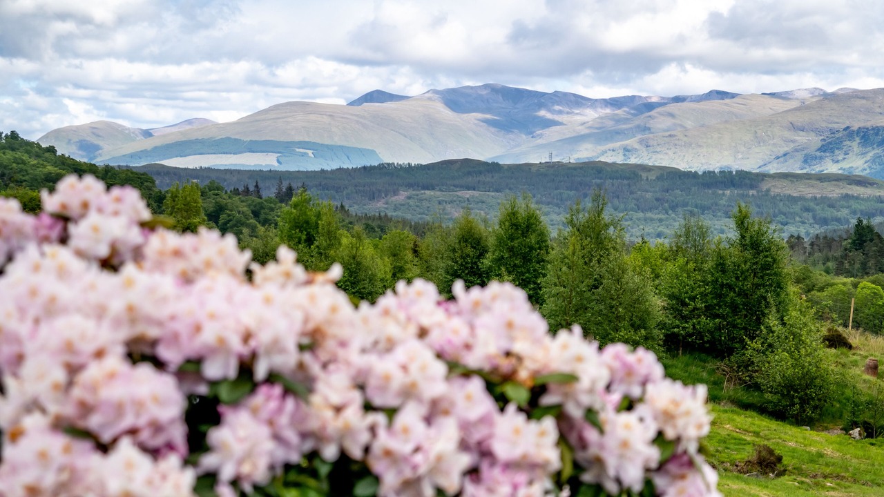Photo of Outdoor in Fort William