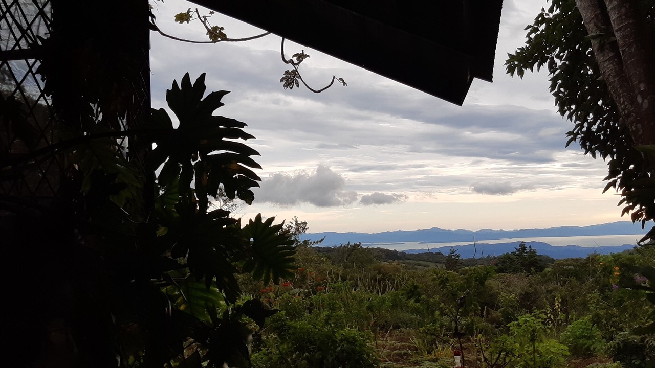 Photo of Others in Monteverde