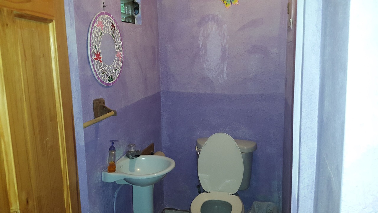 Photo of Bathroom in Monteverde
