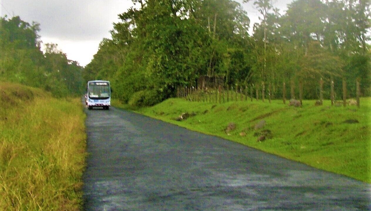 Photo of Outdoor in Guapiles