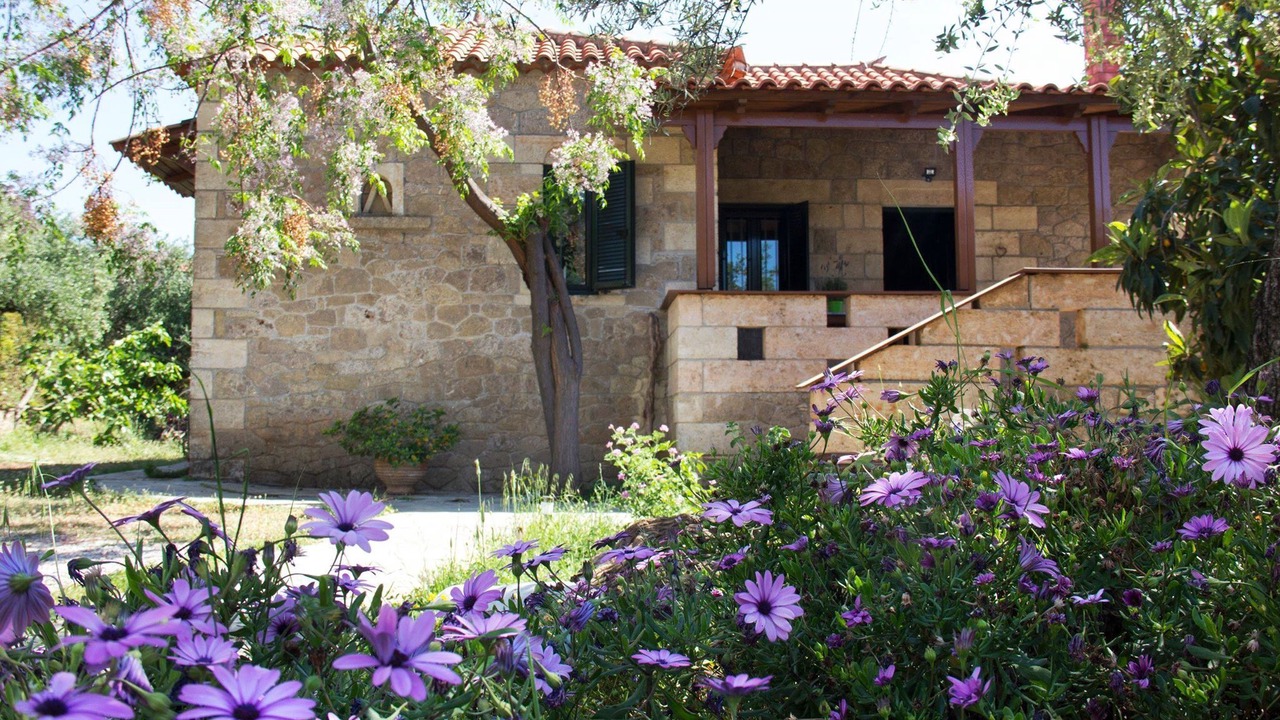 Photo of Others in Lefktron