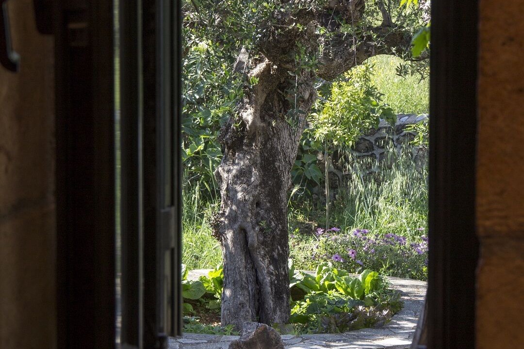 Photo of Others in Lefktron