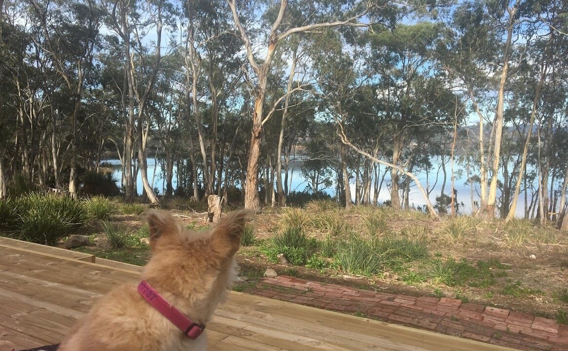 Photo of Outdoor in North Bruny