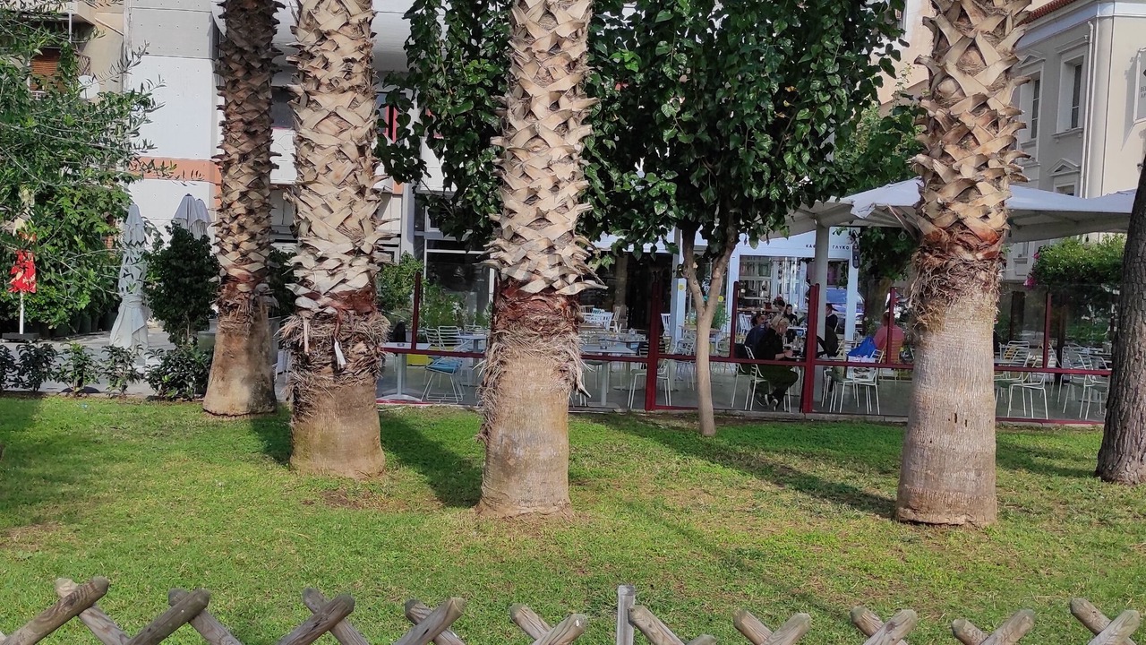 Photo of Outdoor in Pasalimani