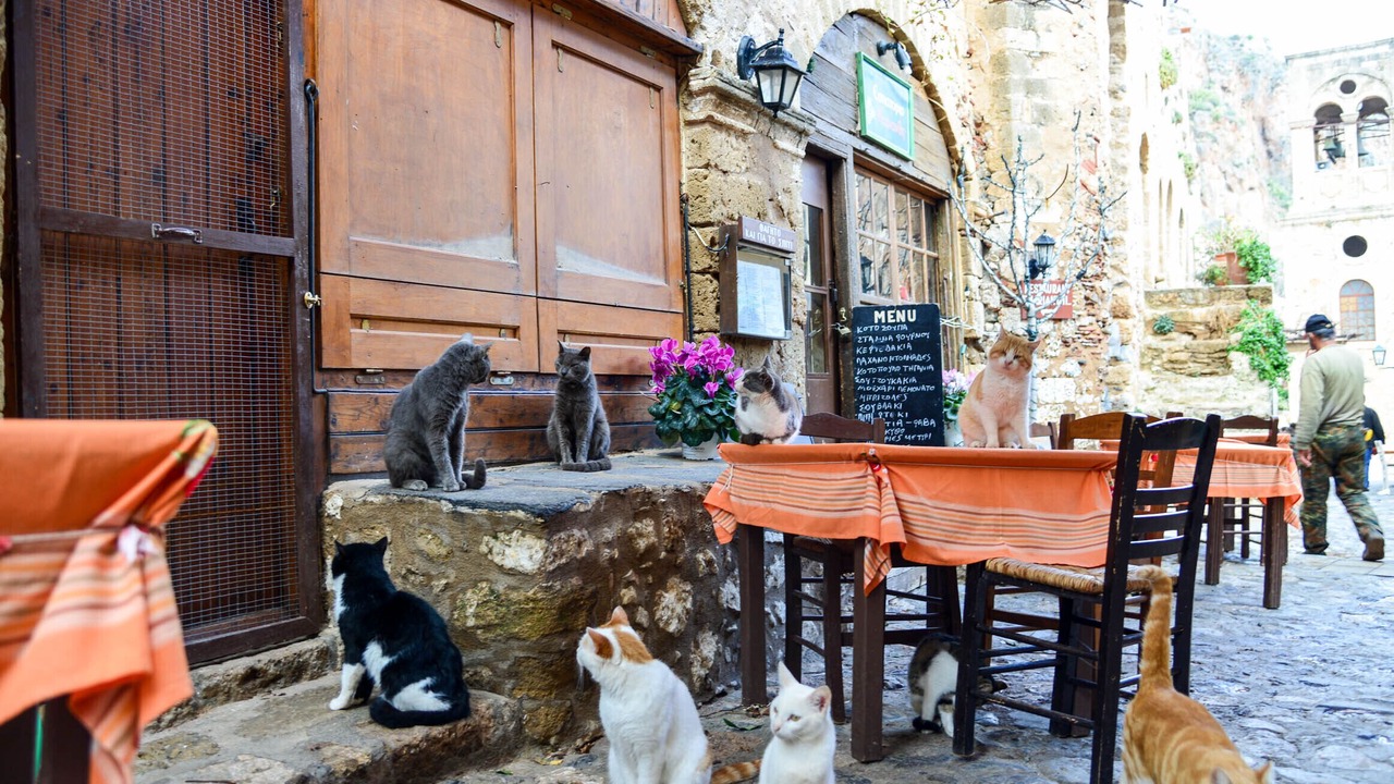 Photo of Outdoor in Velies